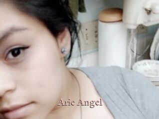 Arie_Angel