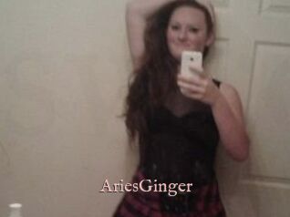 AriesGinger