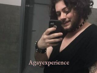 Agayexperience