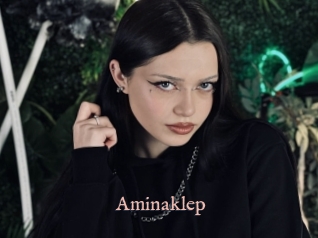 Aminaklep