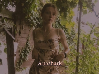 Anashark