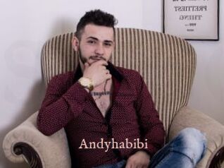 Andyhabibi