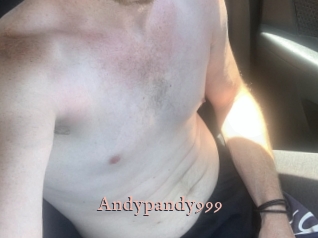 Andypandy999