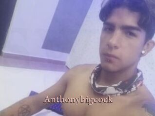 Anthonybigcock