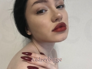 Audreybigge