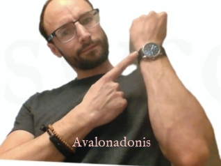 Avalonadonis