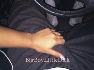 BigBoyLittleDick