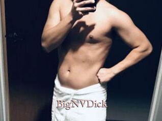 BigNVDick