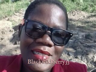 Blackwildberry33