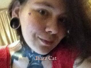 Buzz_Cat