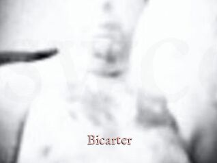 Bicarter