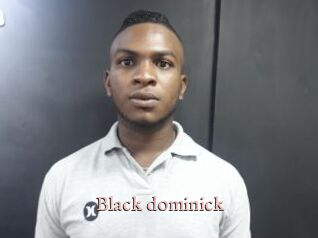 Black_dominick