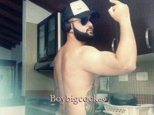 Boybigcock69