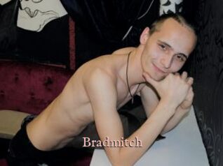 Bradmitch