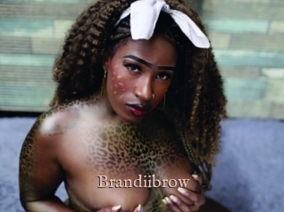 Brandiibrow