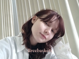 Breebaskett