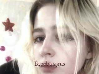 Breeboggus