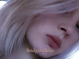 Bridgetalkins