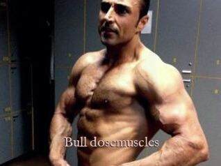 Bull_dosemuscles