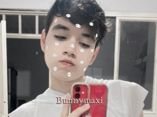 Bunnymaxi