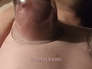 Bustin_knuts