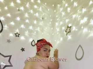 Caribean_Flower