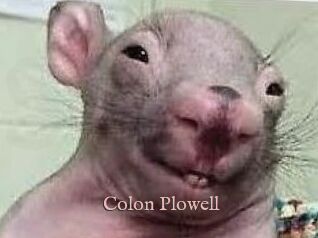 Colon_Plowell