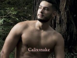 Calixsnake