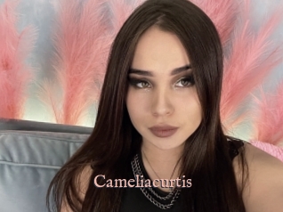 Cameliacurtis