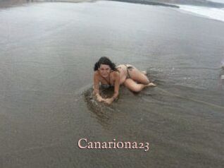 Canariona23