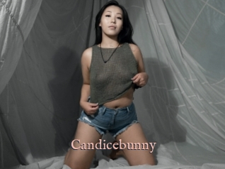 Candicebunny