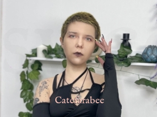 Catefarabee