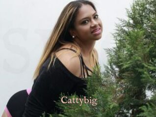 Cattybig