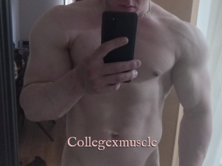 Collegexmuscle