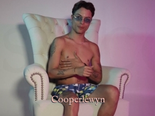 Cooperlewyn