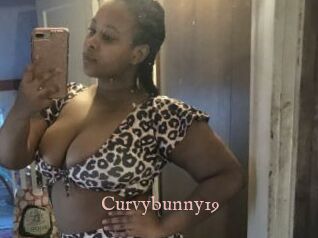 Curvybunny19