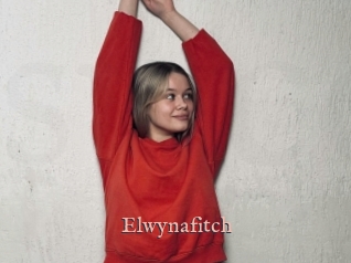 Elwynafitch