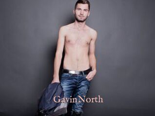 GavinNorth