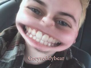 Greyteddybear