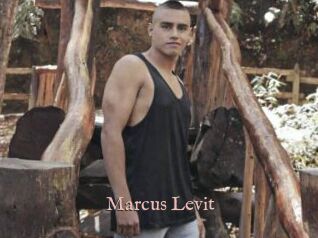 Marcus_Levit