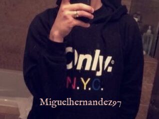 Miguel_hernandez97