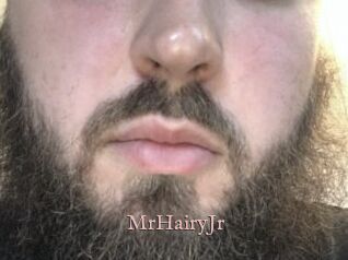 MrHairyJr