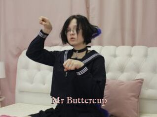 Mr_Buttercup