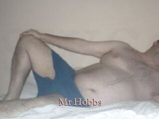 Mr_Hobbs