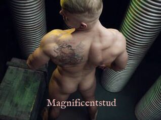 Magnificentstud