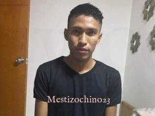 Mestizochino23