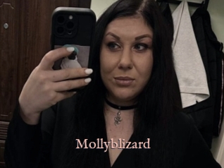 Mollyblizard