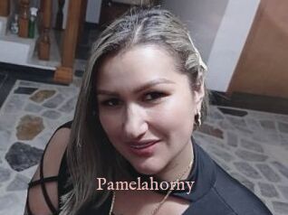 Pamelahorny