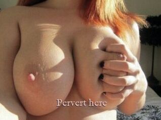 Pervert_here