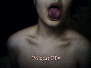 Polecat_Elly